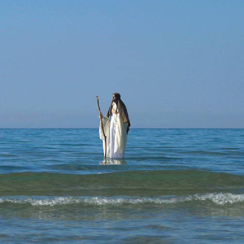 novedad-noviembre-2020b